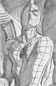 Amazing Spider-man 50 851 Mike Mayhew Spider-Gwen Ghost Spider Green Goblin Red Goblin Kindred Virgin Variant DC Comics Marvel Comics X-Men Batman East Side Comics Virgin Exclusive cgc signed ss comics